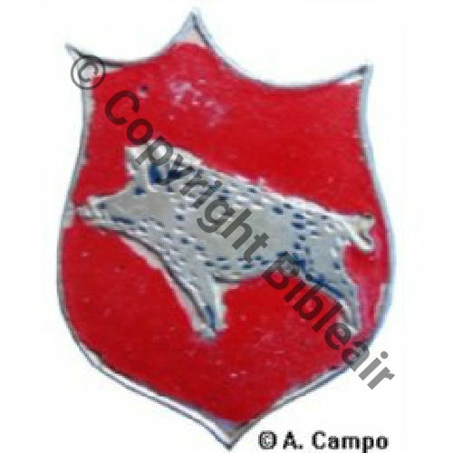 1943  A1115 1943 A1115NH NON FAFL SANGLIER ROUGE 2eDRILLE GC.III.3 ARDENNES 1943+ RAYAK Src.A.CAMPO 